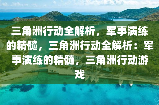 三角洲行动全解析，军事演练的精髓，三角洲行动全解析：军事演练的精髓，三角洲行动游戏