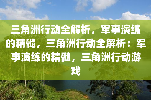 三角洲行动全解析，军事演练的精髓，三角洲行动全解析：军事演练的精髓，三角洲行动游戏