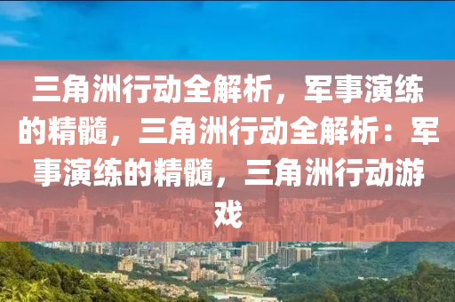 三角洲行动全解析，军事演练的精髓，三角洲行动全解析：军事演练的精髓，三角洲行动游戏