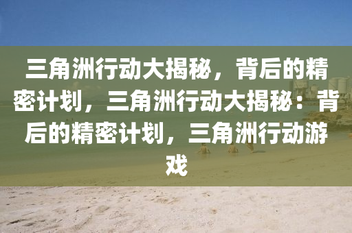 三角洲行动大揭秘，背后的精密计划，三角洲行动大揭秘：背后的精密计划，三角洲行动游戏