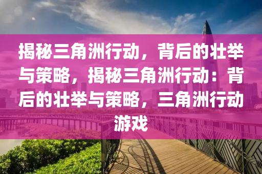 揭秘三角洲行动，背后的壮举与策略，揭秘三角洲行动：背后的壮举与策略，三角洲行动游戏