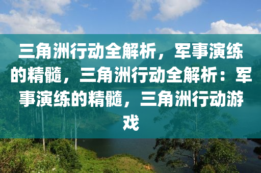 三角洲行动全解析，军事演练的精髓，三角洲行动全解析：军事演练的精髓，三角洲行动游戏