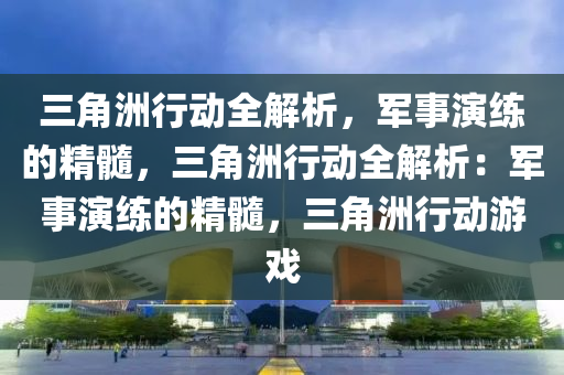 三角洲行动全解析，军事演练的精髓，三角洲行动全解析：军事演练的精髓，三角洲行动游戏