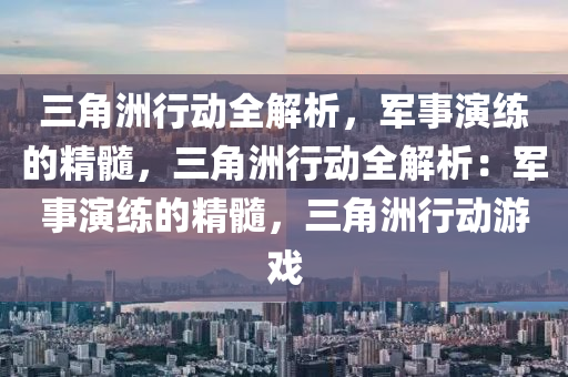 三角洲行动全解析，军事演练的精髓，三角洲行动全解析：军事演练的精髓，三角洲行动游戏