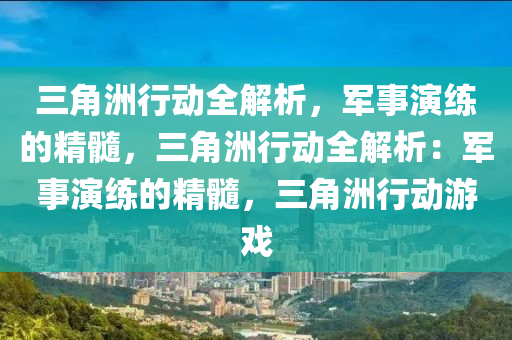 三角洲行动全解析，军事演练的精髓，三角洲行动全解析：军事演练的精髓，三角洲行动游戏