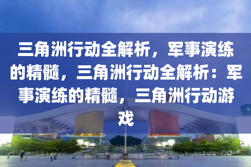 三角洲行动全解析，军事演练的精髓，三角洲行动全解析：军事演练的精髓，三角洲行动游戏