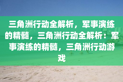 三角洲行动全解析，军事演练的精髓，三角洲行动全解析：军事演练的精髓，三角洲行动游戏