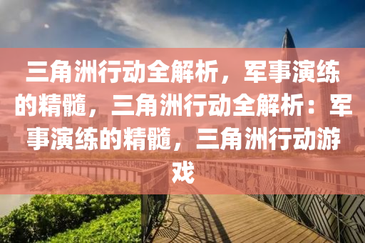 三角洲行动全解析，军事演练的精髓，三角洲行动全解析：军事演练的精髓，三角洲行动游戏