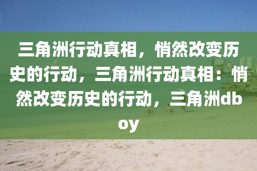 三角洲行动真相，悄然改变历史的行动，三角洲行动真相：悄然改变历史的行动，三角洲dboy