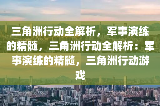 三角洲行动全解析，军事演练的精髓，三角洲行动全解析：军事演练的精髓，三角洲行动游戏