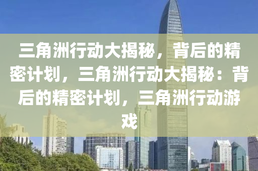 三角洲行动大揭秘，背后的精密计划，三角洲行动大揭秘：背后的精密计划，三角洲行动游戏