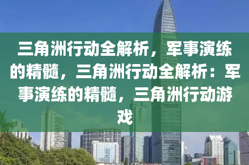 三角洲行动全解析，军事演练的精髓，三角洲行动全解析：军事演练的精髓，三角洲行动游戏