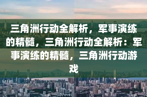 三角洲行动全解析，军事演练的精髓，三角洲行动全解析：军事演练的精髓，三角洲行动游戏