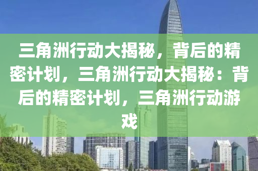 三角洲行动大揭秘，背后的精密计划，三角洲行动大揭秘：背后的精密计划，三角洲行动游戏