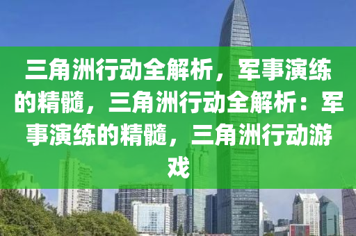 三角洲行动全解析，军事演练的精髓，三角洲行动全解析：军事演练的精髓，三角洲行动游戏