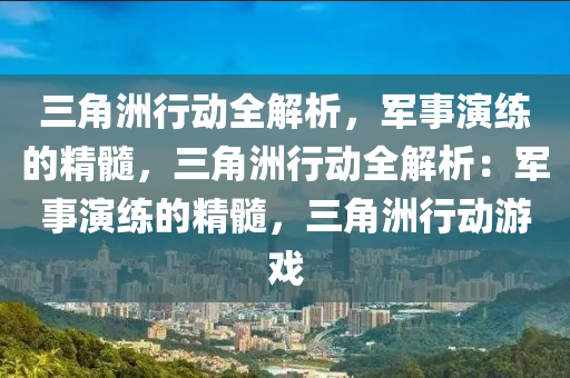三角洲行动全解析，军事演练的精髓，三角洲行动全解析：军事演练的精髓，三角洲行动游戏