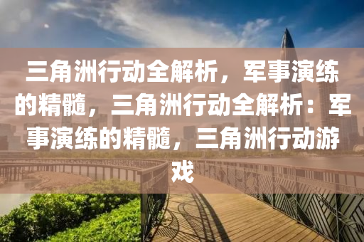 三角洲行动全解析，军事演练的精髓，三角洲行动全解析：军事演练的精髓，三角洲行动游戏