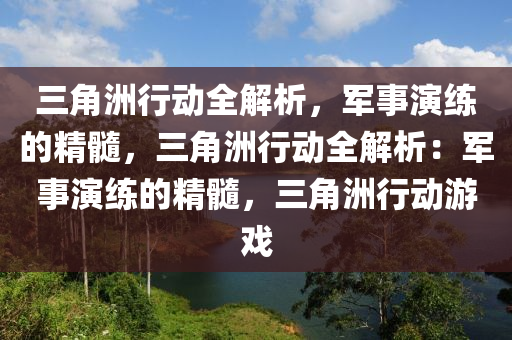 三角洲行动全解析，军事演练的精髓，三角洲行动全解析：军事演练的精髓，三角洲行动游戏