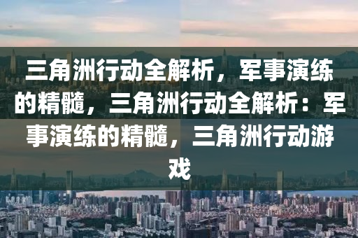 三角洲行动全解析，军事演练的精髓，三角洲行动全解析：军事演练的精髓，三角洲行动游戏
