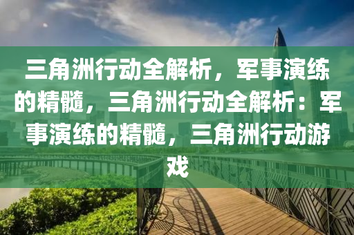 三角洲行动全解析，军事演练的精髓，三角洲行动全解析：军事演练的精髓，三角洲行动游戏