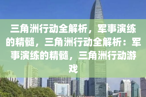 三角洲行动全解析，军事演练的精髓，三角洲行动全解析：军事演练的精髓，三角洲行动游戏