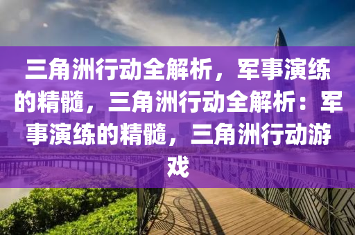 三角洲行动全解析，军事演练的精髓，三角洲行动全解析：军事演练的精髓，三角洲行动游戏