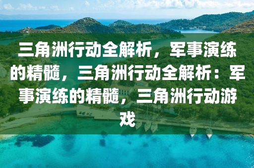 三角洲行动全解析，军事演练的精髓，三角洲行动全解析：军事演练的精髓，三角洲行动游戏