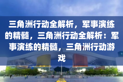 三角洲行动全解析，军事演练的精髓，三角洲行动全解析：军事演练的精髓，三角洲行动游戏
