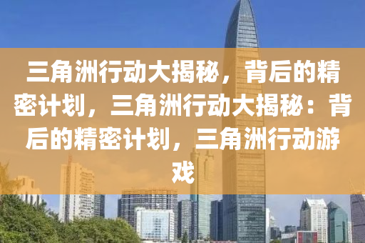 三角洲行动大揭秘，背后的精密计划，三角洲行动大揭秘：背后的精密计划，三角洲行动游戏