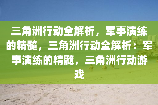 三角洲行动全解析，军事演练的精髓，三角洲行动全解析：军事演练的精髓，三角洲行动游戏