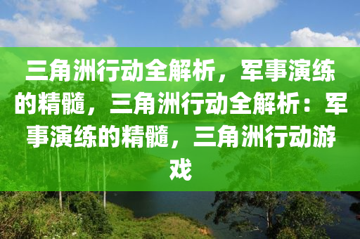 三角洲行动全解析，军事演练的精髓，三角洲行动全解析：军事演练的精髓，三角洲行动游戏