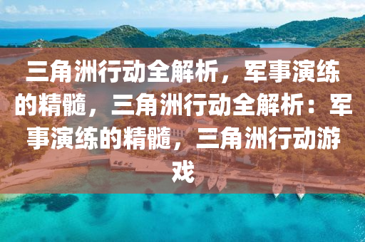 三角洲行动全解析，军事演练的精髓，三角洲行动全解析：军事演练的精髓，三角洲行动游戏