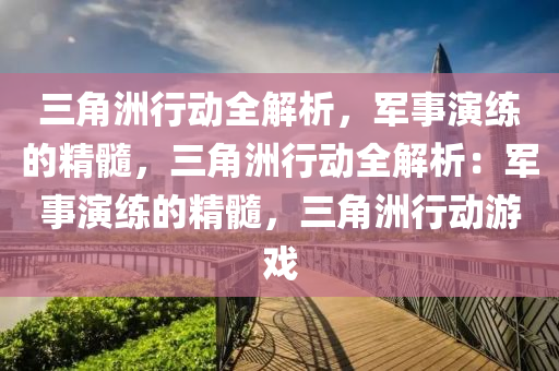 三角洲行动全解析，军事演练的精髓，三角洲行动全解析：军事演练的精髓，三角洲行动游戏