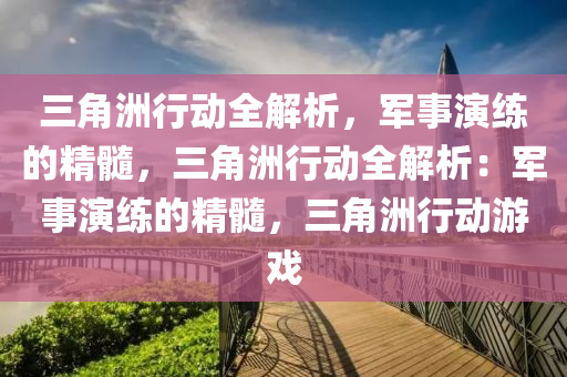 三角洲行动全解析，军事演练的精髓，三角洲行动全解析：军事演练的精髓，三角洲行动游戏