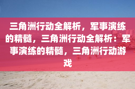 三角洲行动全解析，军事演练的精髓，三角洲行动全解析：军事演练的精髓，三角洲行动游戏